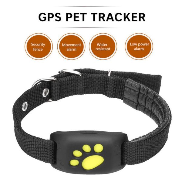 Le colier GPS, un accessoire idéal pour la localisation exacte de votre animal de compagnie